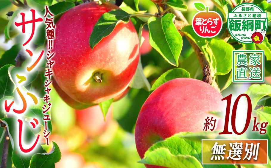 
                  りんご サンふじ 葉とらず 無選別 10kg エバラ農園 減農薬栽培 2026年11月中旬頃から2027年1月上旬頃まで順次発送予定 令和8年度収穫分 信州 果物 フルーツ リンゴ 林檎 長野 予約 農家直送 長野県 飯綱町 [1818]
                
