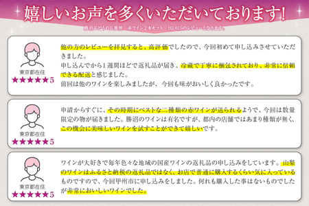 勝沼ぶどうの丘推奨 赤ワイン2本セット B2-615【甲州 ワイン お酒 赤ワイン 日本ワイン お酒 人気 推奨 おまかせ ワイン フルボトル ワイン パーティー ワイン 家庭用 ワイン ギフト プレ
