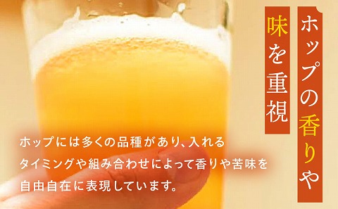 おまかせMIX6缶 6ヶ月定期便セット ビール お酒 クラフトビール