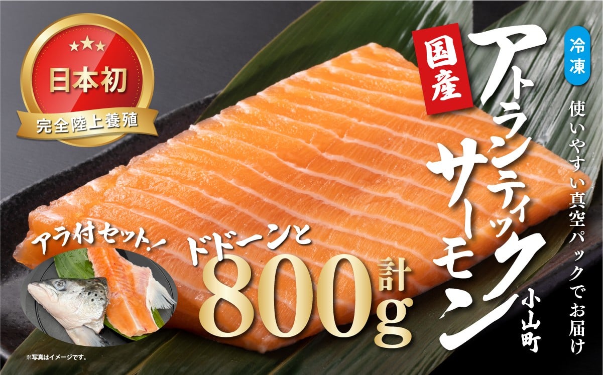 
            日本初 完全陸上養殖 小山町産 アトランティックサーモン 冷凍 800g +アラ付きセット | サーモン アトランティックサーモン 刺身 海鮮丼 さーもん 小分け 真空パック 人気 おすすめ ランキング リピート 国産 静岡県 小山町
          