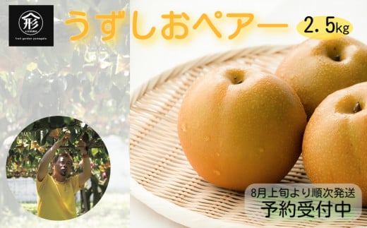 【 予約受付中・2025年8月上旬頃より順次発送 】鳴門産梨 うずしおペアー 2.5kg