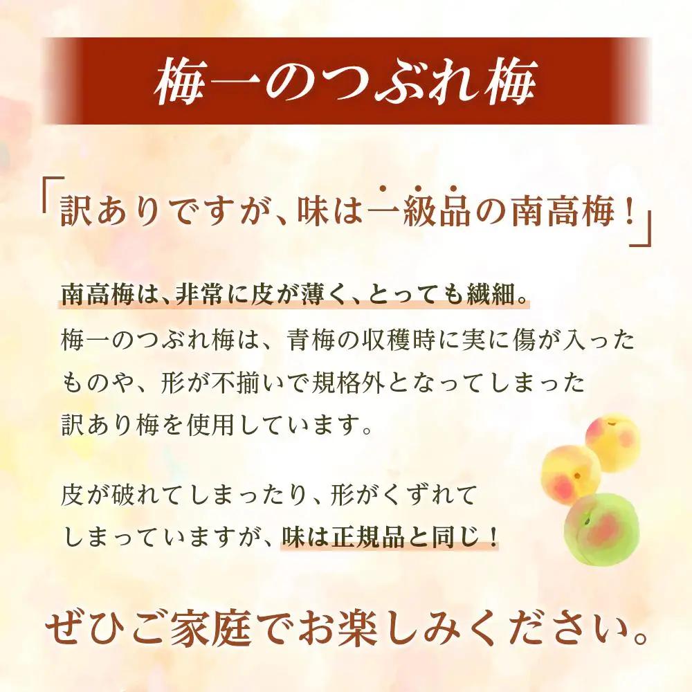 梅干し つぶれ はちみつ梅干し 塩分3％（1.2キロ）