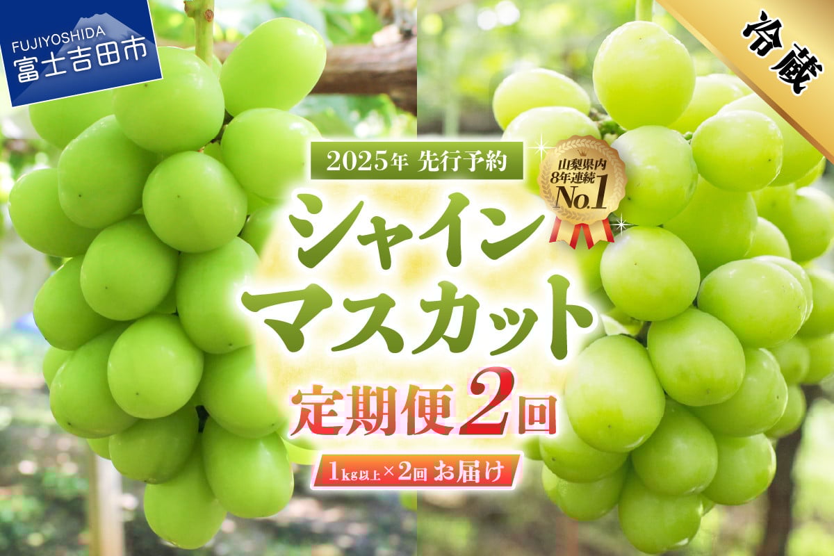 
            【2025年先行予約】【2回定期便】ジューシーで甘さ抜群 厳選シャインマスカット1kg以上×2回配送 ぶどう 果物 フルーツ 旬 山梨県 2025年 先行予約 山梨 富士吉田市
          
