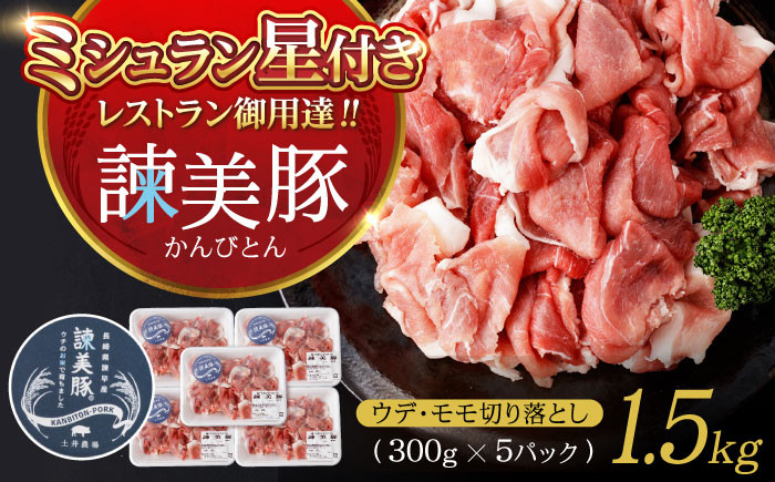 
            諫美豚 うで・もも切り落とし300g×5 / 豚肉 ぶたにく 切り落とし スライス パック 小分け / 諫早市 / 株式会社土井農場 [AHAD061]
          