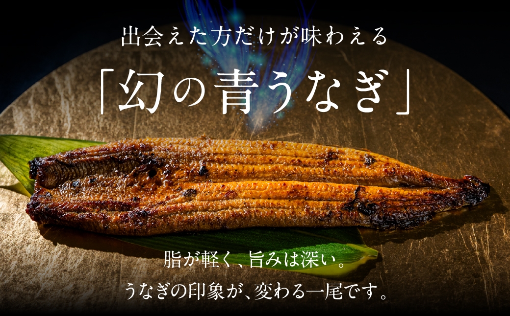 
                  【スピード配送】厳選 高級 青うなぎ 冷蔵 / 冷凍 が選べる 蒲焼 6尾 蒲焼 900g うなぎ 鰻 ウナギ 入手困難 幻 御中元 ギフト プレゼント 父の日 土用の丑の日 食べ物 お返し  お祝い 上司 親戚 取引先 定番 冷凍 山椒 ランキング 人気 特上
                
