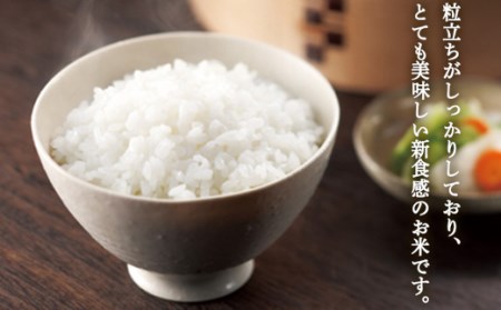 【令和7年度産】 山形県産 雪若丸無洗米 5kg×2袋計10kg ブランド米 こめ ご飯 ごはん 白米 エコ 節水 F4A-0503