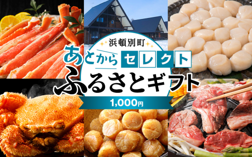 あとからセレクト 【ふるさとギフト】《1,000円分》