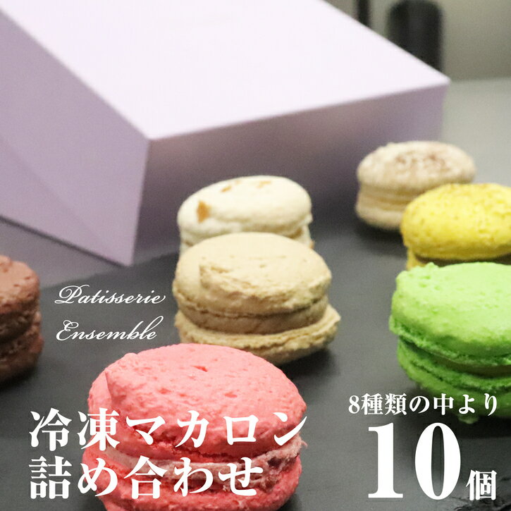 【ふるさと納税】マカロン詰め合わせ(10個入) A10800202【福岡県 須恵町】