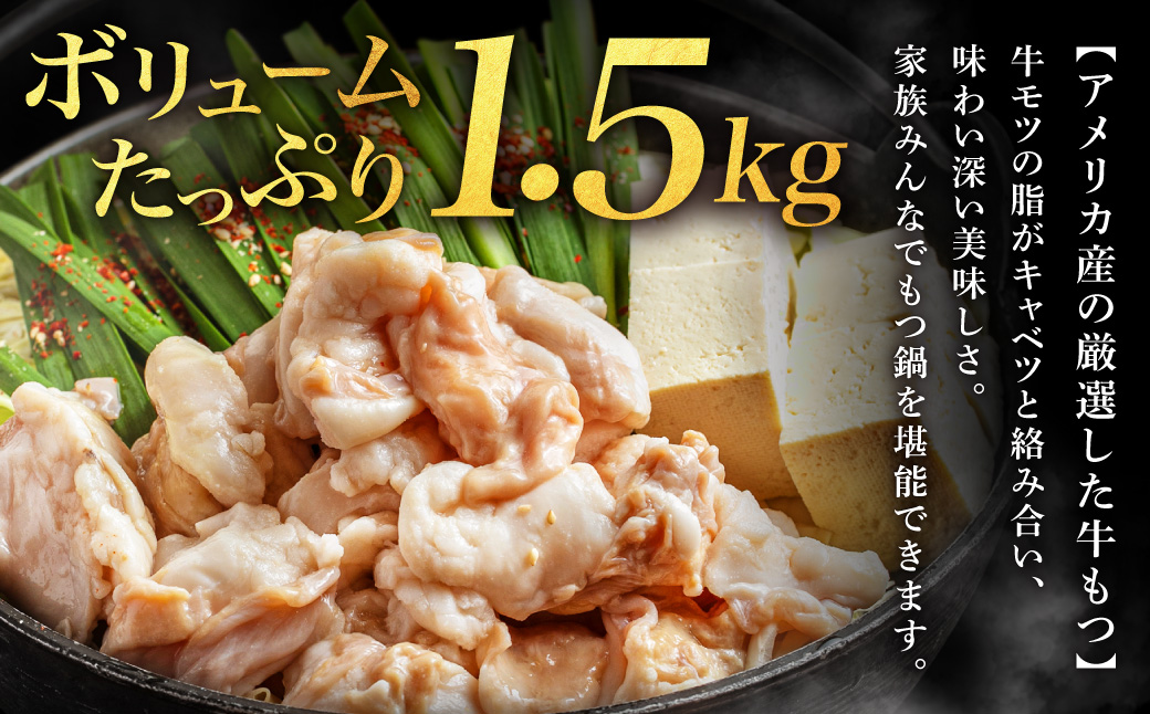 AE207.魚住商店あごだし【醤油仕立て】〈ちゃんぽん麺付き〉もつ鍋セット満足15人前（5人前×3、もつ1.5kg）【もつ鍋・醤油味】