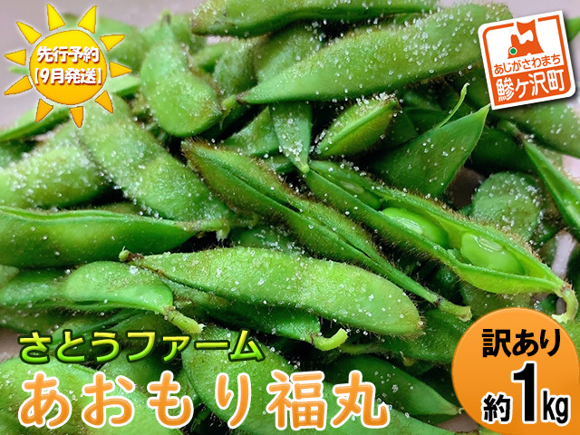 【 2024年産 数量限定 】幻の毛豆 あおもり福丸 訳あり 約1kg【9月発送】青森県鰺ヶ沢町産 ※オンライン決済のみ