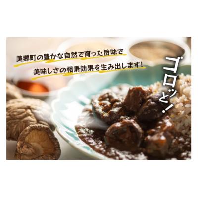ふるさと納税 美郷町 カレー レトルト 山師のおひさま なばカレー 宮崎牛 原木椎茸 使用 180g [31ao0025] |  | 01