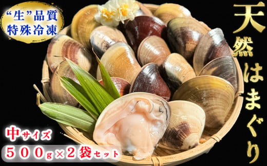 【先行予約】 希少 天然 はまぐり 中サイズ 500g×2袋 岬だより 冷凍 はまぐり 天然貝 魚貝 海鮮 魚介 新鮮 はまぐり 蛤 ハマグリ 蛤鍋 はまぐり はまぐり鍋 ふるさと納税貝 ふるさと納税はまぐり ふるさと納税ハマグリ ふるさと納税蛤 人気 おすすめ 愛知県 南知多町