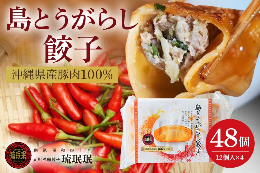 
                  【琉みんみん】沖縄県産島とうがらし餃子　4パック 　48個入り
                