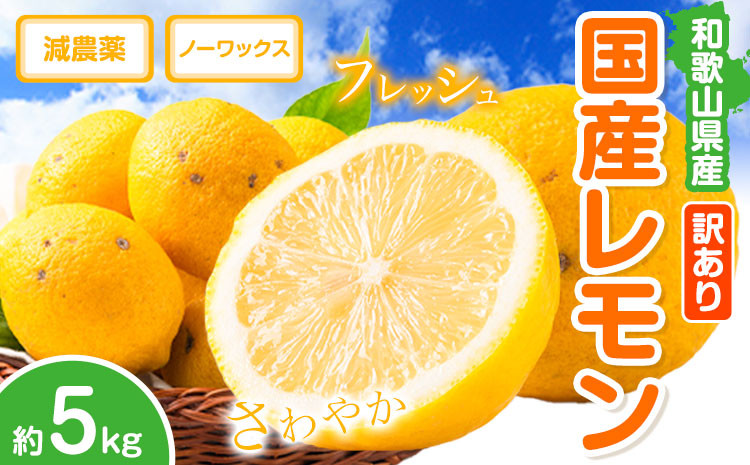 
訳あり レモン 国産 約 5kg (サイズ混合) ノーワックス 減農薬 どの坂果樹園《2025年2月上旬-5月末頃出荷》 和歌山県 日高川町 レモン れもん 檸檬 果物 フルーツ 訳あり 送料無料 【わけあり・訳ありレモン】
