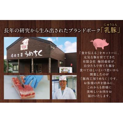 ふるさと納税 福智町 乳豚 餃子50個&メンチカツ15個セット |  | 02