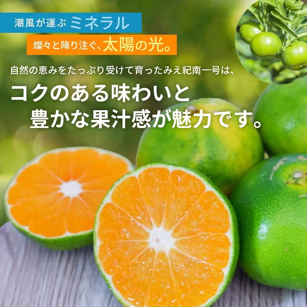 みかん 超極早生温州みかん みえ紀南一号 約7kg【nkmr0013】