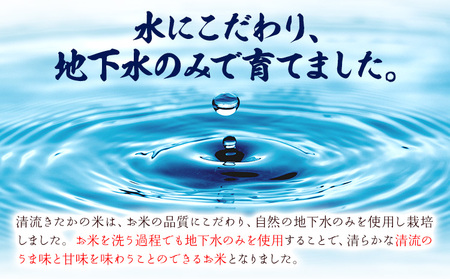令和7年産 新米 無洗米 清流きたかの米 5kg《1月出荷予定》熊本県産 無洗米 白米 精米 氷川町 送料無料コメ 便利 ブランド米 お米 おこめ 熊本 SDGs