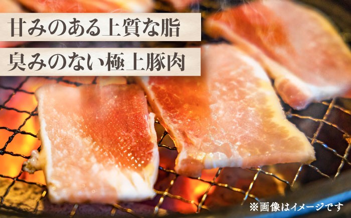 豚肉 ぶたにく ぶた肉 ブタ肉 ブタ ポーク 冷凍 ブランド ブランド豚 菊陽 熊本