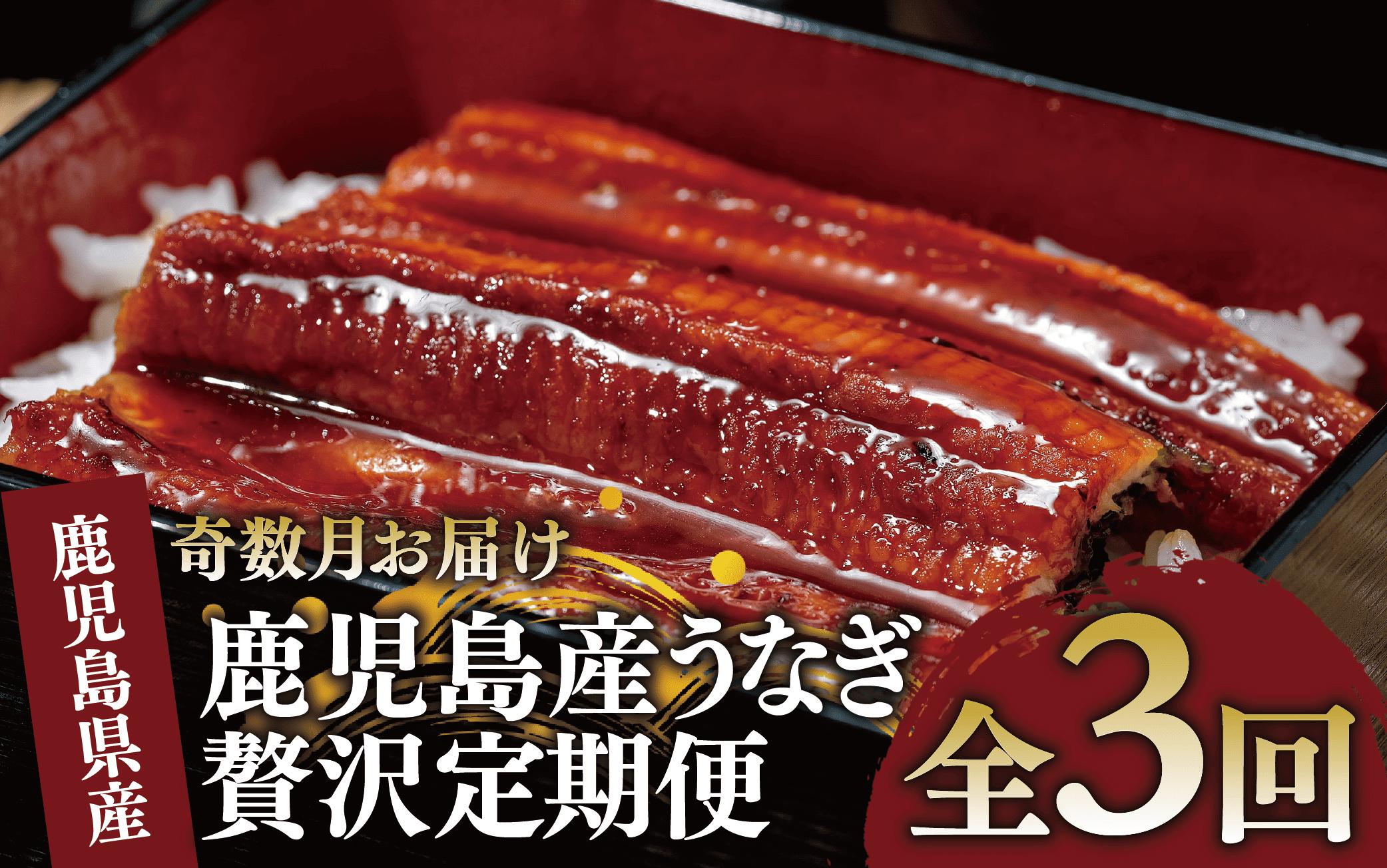 
            【全３回定期便・奇数月お届け】鹿児島産うなぎ贅沢定期便(奈良/Z100-1712) 鰻 蒲焼 国産 丑の日 うな重 無頭 ギフト ふっくら 小分け レンジ 簡単 頒布会 小分け うな丼 ウナギ 冷凍 かばやき かば焼き うなぎの蒲焼
          