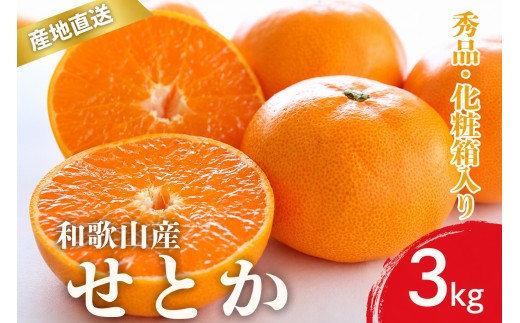 
                  【先行予約】秀品 せとか 和歌山 有田 化粧箱 M～4Lサイズ 大きさお任せ【2月上旬～3月下旬頃に順次発送】/ みかん フルーツ 果物 くだもの 蜜柑 柑橘【ktn013A】
                