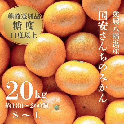 【ふるさと納税】【糖度11度以上 酸1.0以下 糖酸選別品】愛媛みかん 20kg【H20-83】【1623267】