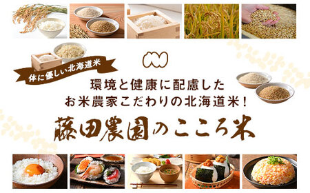 【令和7年産】お米ななつぼし5kg×2袋（精米）【AO-029】