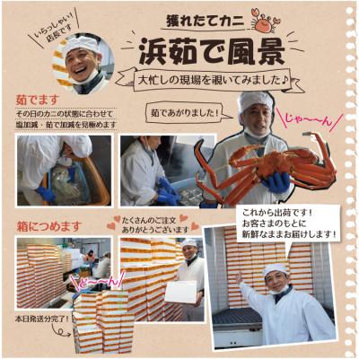 ふるさと納税 越前町 浜茹で越前ずわい約800〜900g　1杯　かに酢&かにスプーン付き |  | 02