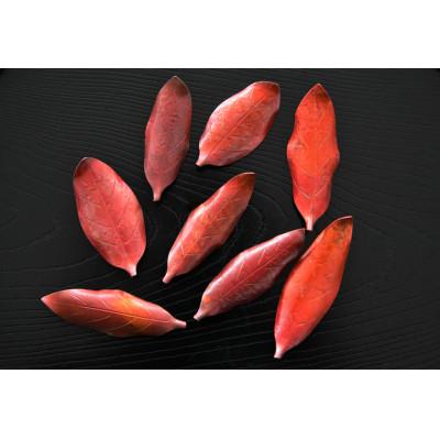 ふるさと納税 燕市 木の葉の箸置き ニコニコセット(4個入) びわ |  | 03