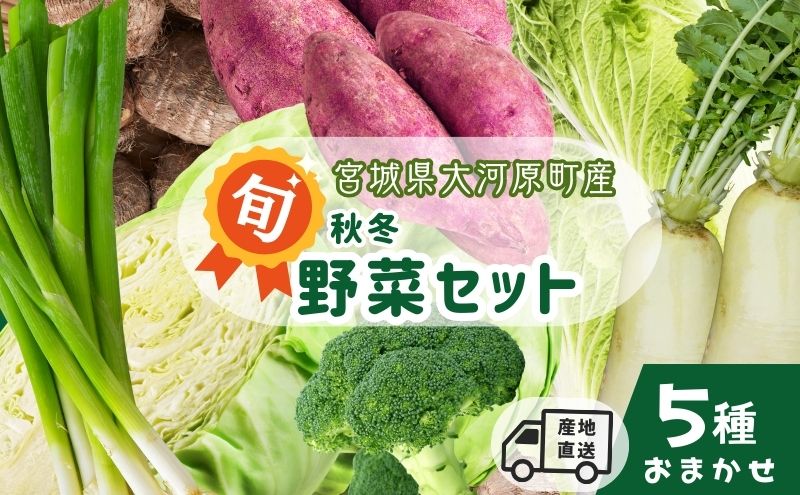 季節の野菜 おまかせ野菜セット 詰合せ 白菜 キャベツ ブロッコリー さつまいも 長ねぎ 大根 さといも 季節 旬 野菜 詰め合せ 国産 おまかせ 産地直送 秋野菜 冬野菜 葉物 冷蔵 野菜室