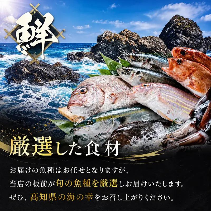 【6ヶ月 定期便】 初音自家製　室戸の海鮮漬け丼(旬魚)170g おかずに海鮮丼に茶漬けに