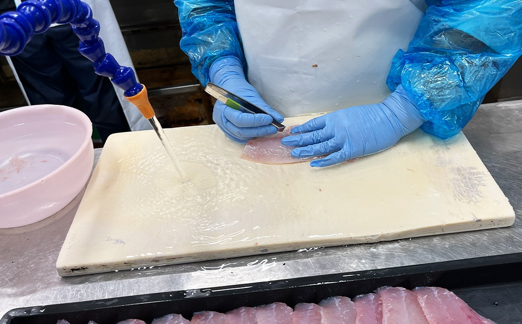 長崎産さばみりん干し約1.4kg（約18枚前後）