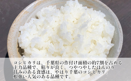 コシヒカリ 白米 令和7年 千葉県産 コシヒカリ【5kg×6ヶ月】【定期便】