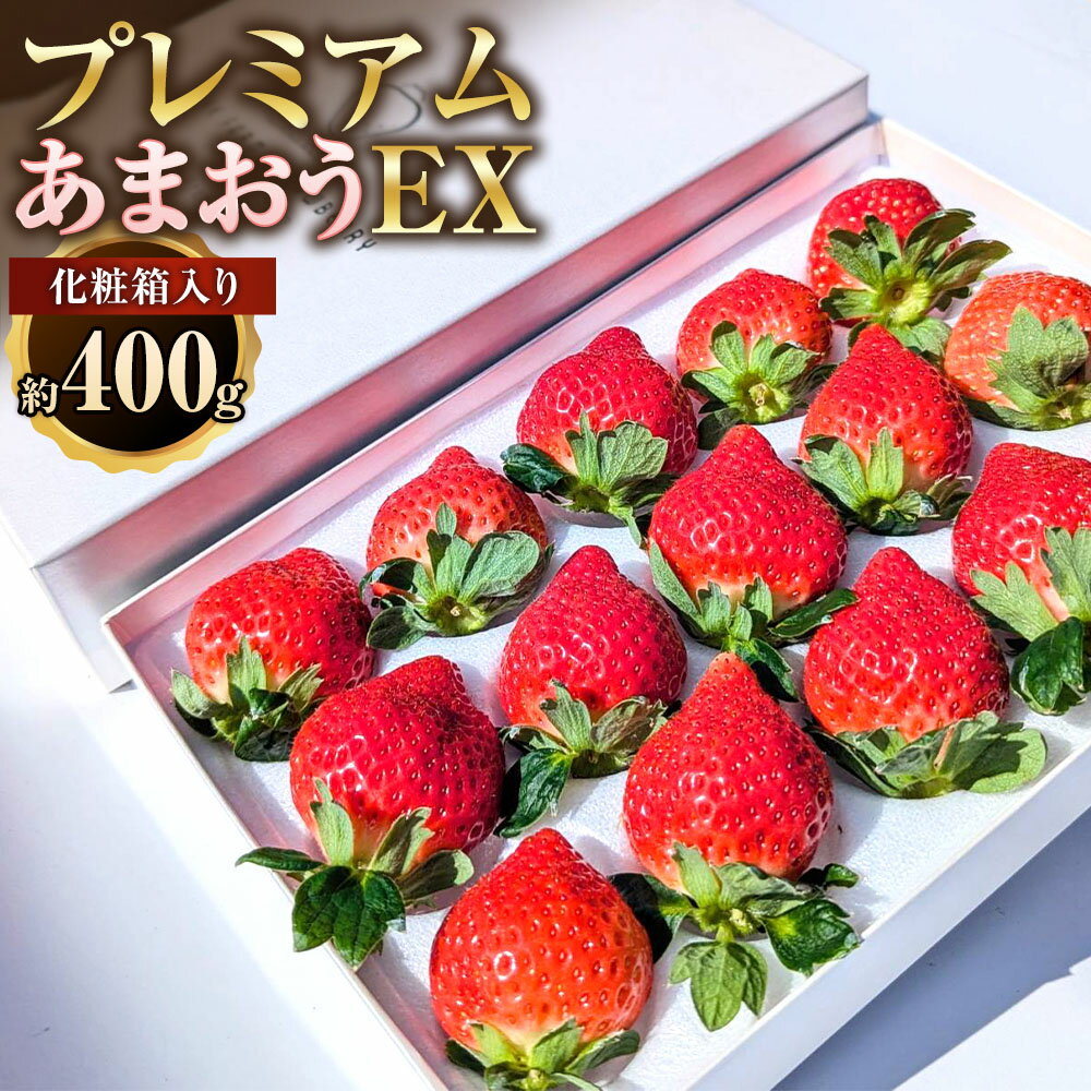 【ふるさと納税】化粧箱入り プレミアムあまおう 約400g×1パック 【ギフト・お祝い・贈答用】 EXグレード あまおう いちご イチゴ 苺 フルーツ くだもの 果物 果実 デザート 贈り物 冷蔵 国産 九州 福岡県産 太宰府市 送料無料 【2026年2月上旬～2026年4月上旬発送予定】