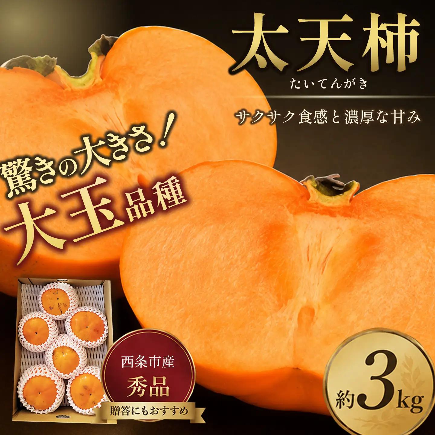 【11月発送】太天柿（秀品）約３kg｜大玉柿