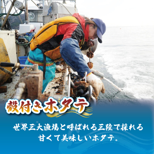 殻付き 活ホタテ 6枚 12cm以上 ほたて 帆立 貝 BBQ 刺身 フライ (ホタテ 帆立 殻付き ヒモ ホタテ 養殖 冷凍 貝 おかず ホタテバター焼き ホタテフライ ホタテ刺身 新鮮 岩手県 大