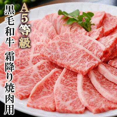 【ふるさと納税】A5等級黒毛和牛霜降り焼肉用 A8-40【配送不可地域：離島】【1166302】