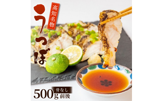 
カツオに並ぶ土佐の名物! うつぼのタタキ 500g タレ付き 天然 コラーゲン 高知 名物 珍味 魚 刺身 DK005
