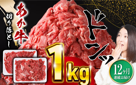 【全12回定期便】熊本県産 あか牛 切り落とし 計1kg 牛肉切り落とし 牛肉切り落とし 牛肉切り落とし 牛肉切り落とし 牛肉切り落とし[YBZ022]