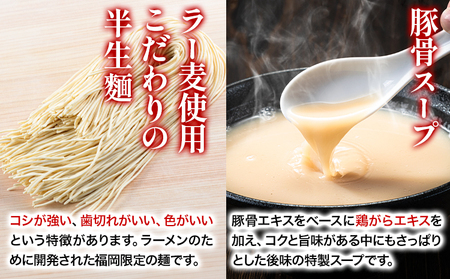 博多とんこつラーメン 5人前(めん×5 スープ×5) 豚骨 とんこつ ラーメン 送料無料《30日以内に出荷予定(土日祝除く)》 福岡県 鞍手郡 鞍手町 スープ付き 半生ラーメン ラー麦麺 ラーメン 拉