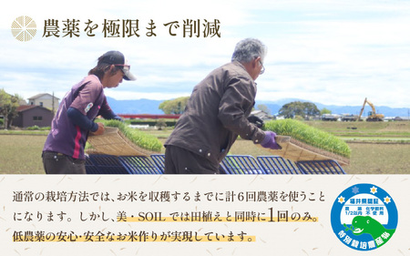 【令和5年産】《定期便》5kg×12回 60kg 特別栽培米 ハナエチゼン 無洗米 低農薬 《食味値85点以上！こだわり極上無洗米》 / 福井県 あわら 北陸 米 お米 人気 