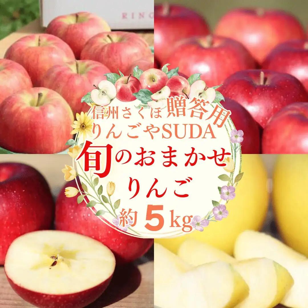 農園にお任せ旬のリンゴ ５kg入り贈答箱【100箱　限定品】［RS-104］