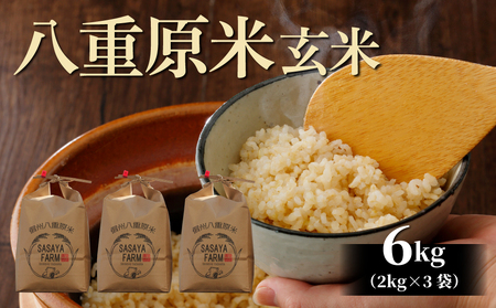 【寄附額改訂↓】令和８年新米予約！八重原米6kg（2kg×3袋）玄米 コシヒカリ 特A米 ※2026年10月以降順次発送｜笹屋農園「農薬削減長野県認証取得」 先行予約 お米
