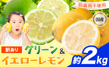訳あり 国産レモン 約2kg 《10月上旬-1月下旬頃出荷》ﾚﾓﾝﾚﾓﾝﾚﾓﾝﾚﾓﾝ