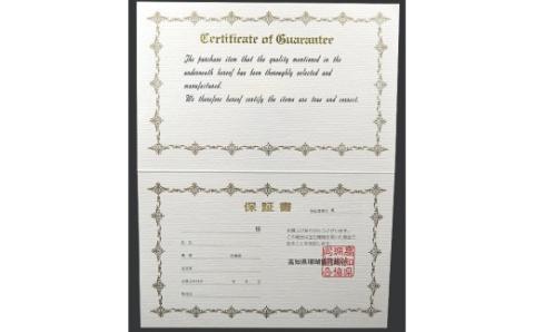 パール片手数珠　レディース　房正絹紫