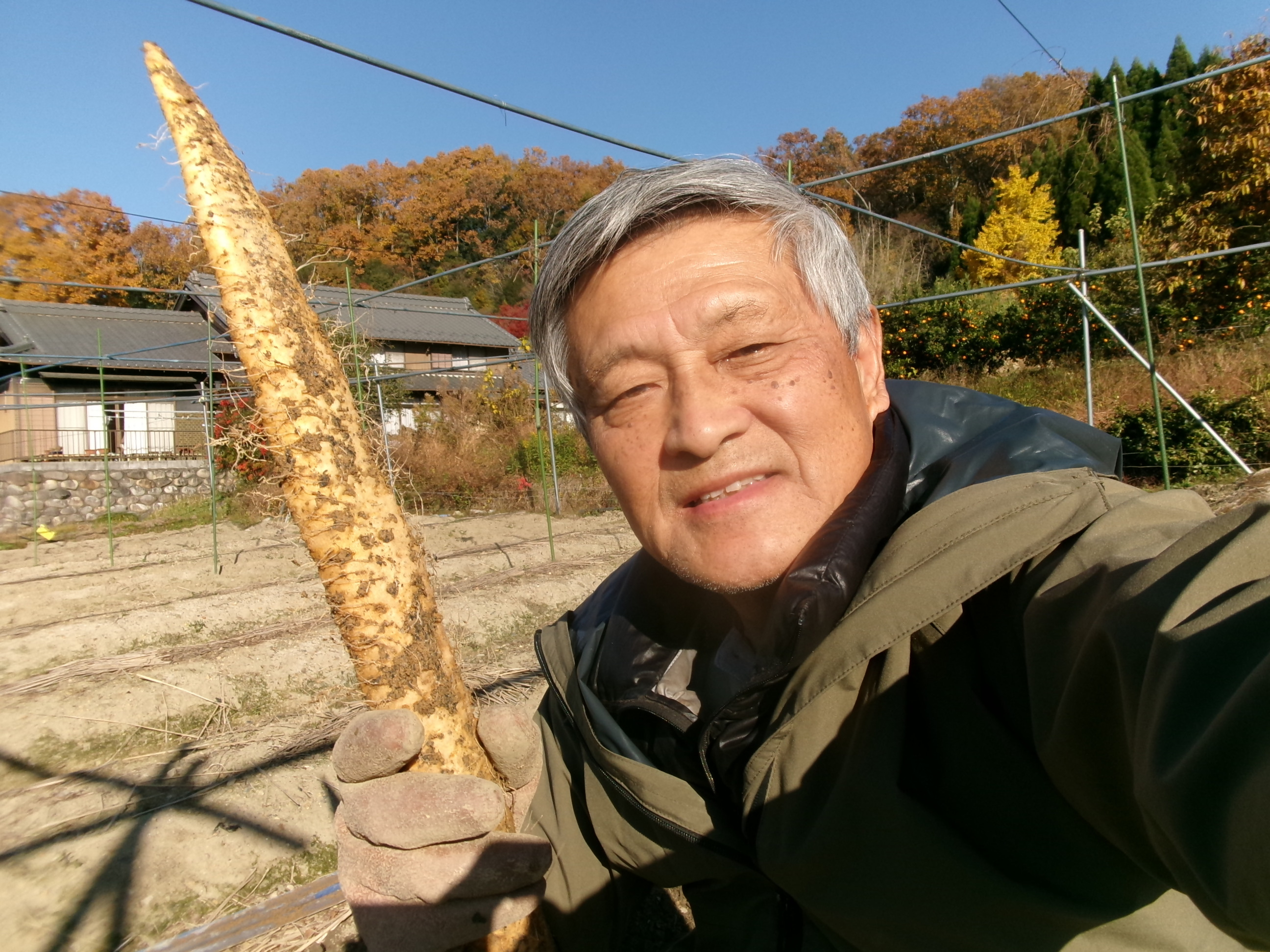 『夢とろろ』味付き冷凍自然薯　6個パック