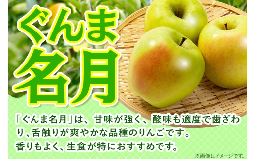 【27年1月発送】りんご ぐんま名月【訳あり】約5kg 先行受付 家庭用 青森県 弘前市 果物 フルーツ 林檎 リンゴ くだもの 不揃い 規格外 [先行予約 産地直送 アップル おいしい 果実 美味 