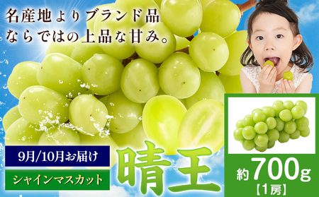 【先行予約】ぶどう シャインマスカット 晴王 700g 1房 マスカット岡山《9月上旬-11月中旬頃出荷》岡山県 浅口市 送料無料 フルーツ 果物 マスカット お取り寄せフルーツ【配送不可地域あり】（北海道・沖縄・離島）