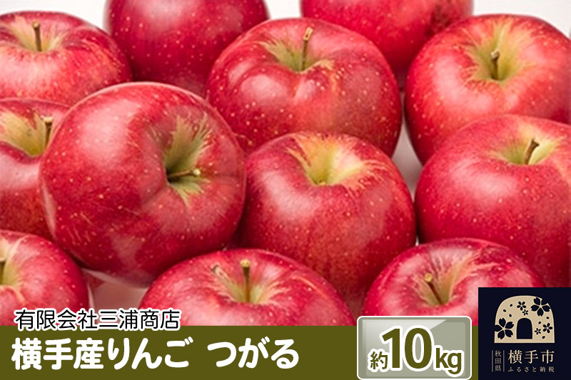 酸味が少なく爽やかな甘さが特徴!横手産りんご【つがる】約10kg