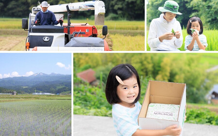 米【令和7年産 新米先行予約】【3ヶ月定期便】新潟県産「コシヒカリ」５kg×3ヶ月 合計15kg 食味鑑定士お墨付き 令和7年産 特別栽培米 農家直送 甘みあふれる農家自慢の逸品　NUKUMORI ぬ