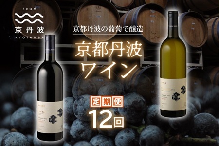 【定期便】丹波ワイン 12カ月 定期便 【 丹波ワイン 国産ぶどう使用 国産ワイン 京都 丹波 自社農園 白ワイン 赤ワイン ワイン 】 ※北海道・東北・沖縄・その他離島は配送不可 [340SJ001R]
